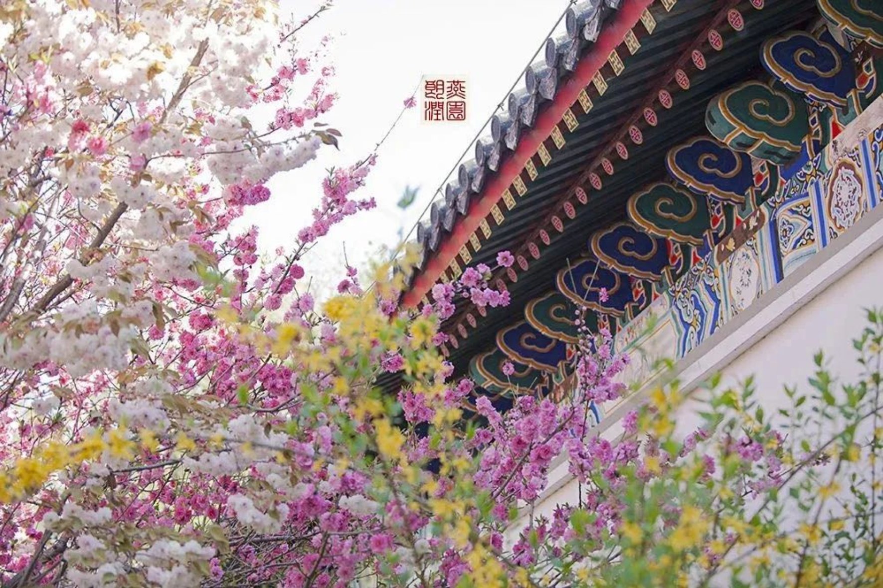 https://mmbiz.qpic.cn/mmbiz_jpg/ibGh4lTFYyoibDXw8er3gb0ePmbd7s7icfT64trJgHibeAC8u5qO05oplNKCCr7WVkIiaJ6sF02q7CsqicGicbmS6uvuA/640?wx_fmt=jpeg