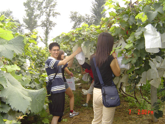 /cn/userfiles/Image/2010-05/R_20100507004732824.jpg