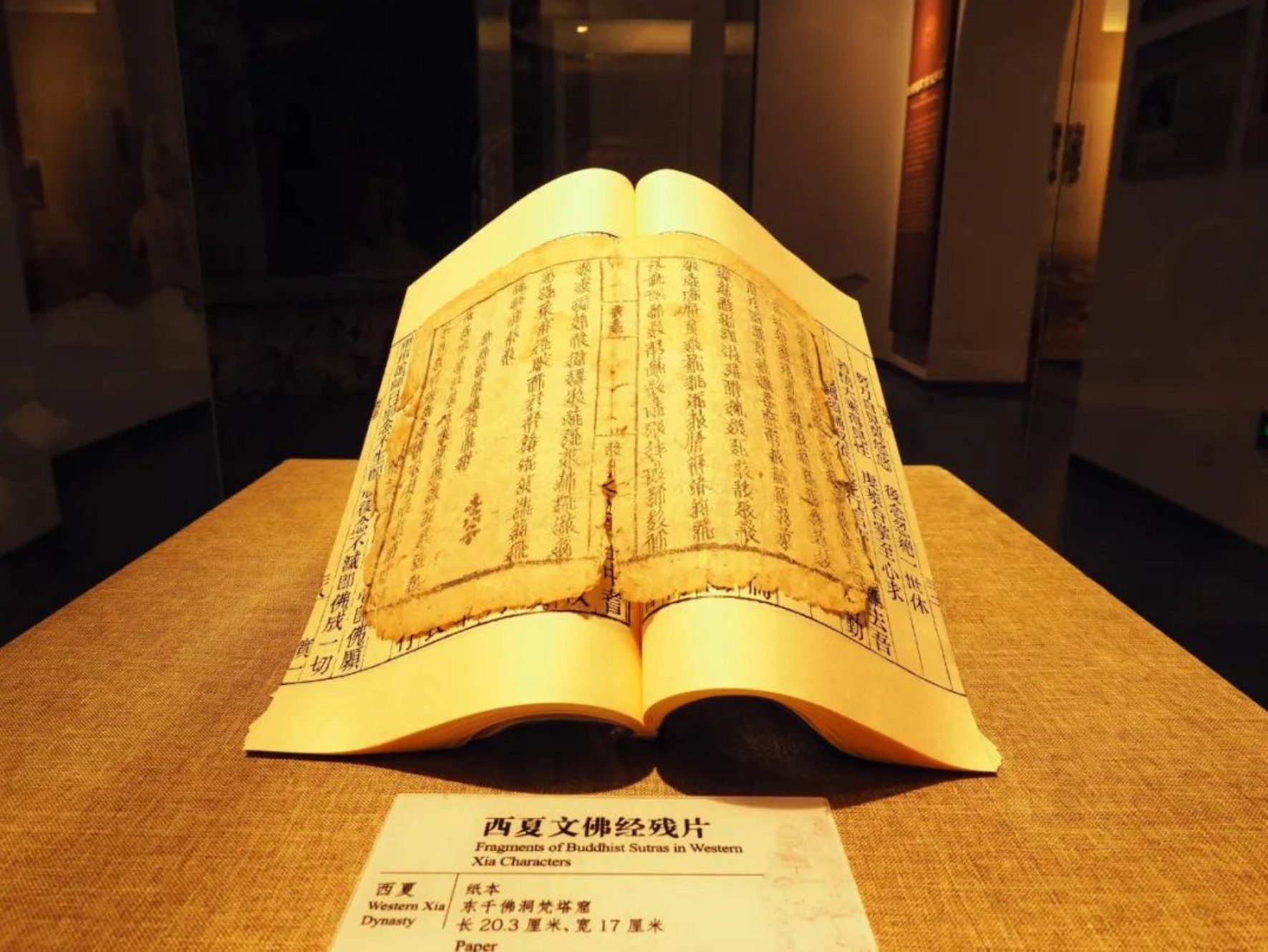 https://mmbiz.qpic.cn/mmbiz_jpg/ibdls9iau38Jts2MrL6Oicib5rsobMNO4HkQzQwIvawyVmpeTKWz6dBWJia3c5JibfeoqibdIW4RVJMeleOYbOAxZEsnA/640?wx_fmt=jpeg