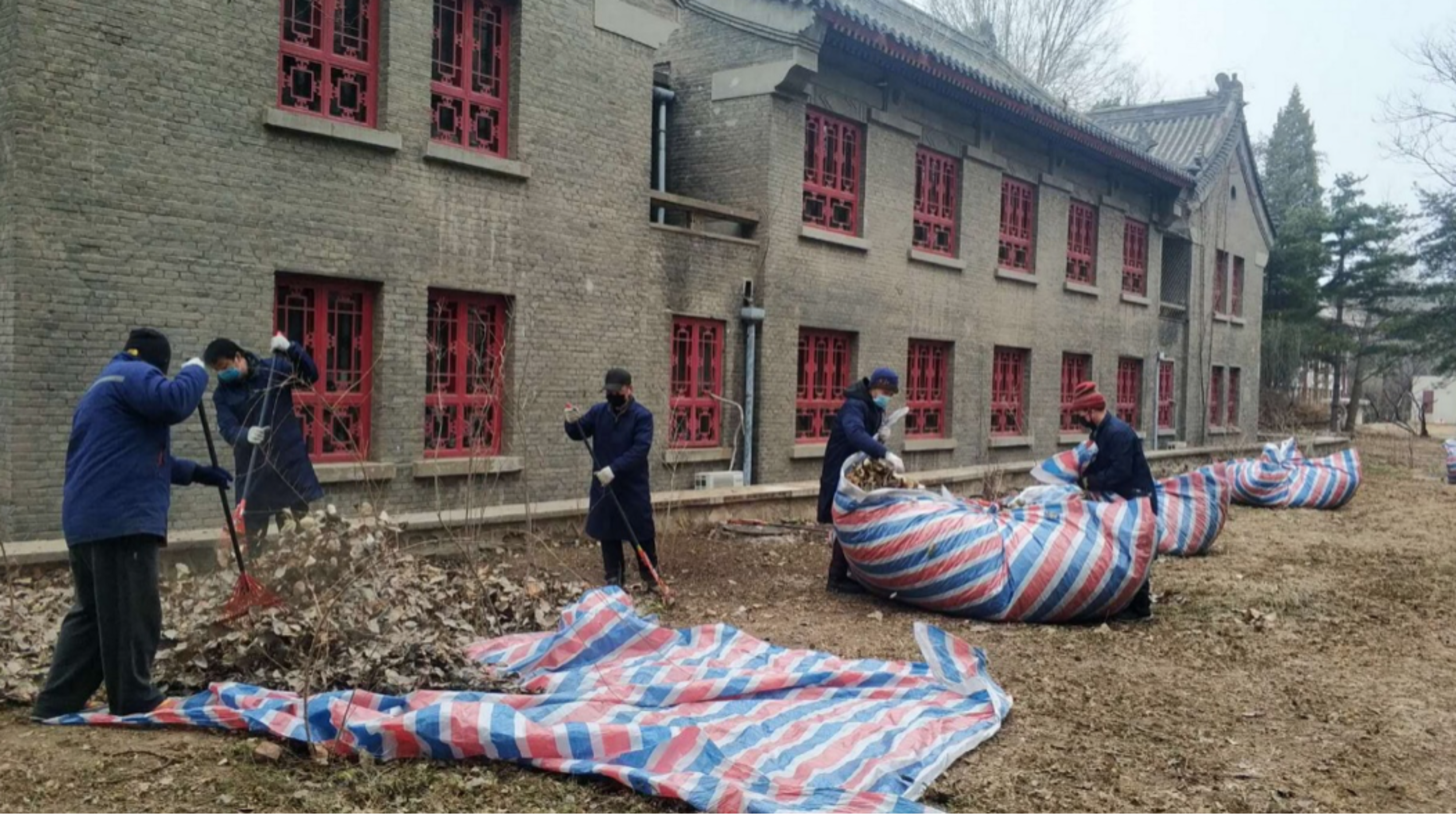 https://mmbiz.qpic.cn/mmbiz_png/ibGh4lTFYyo8UYuBp732qoS6GFOcpcesGn2cnoB5MyJ4x9AYyTfGD0MKz9V9jWMlia2VvOQExicXUCicib5FkqAyxfg/640?wx_fmt=png