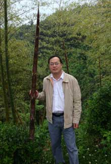 《经济学》（季刊）最佳论文奖（2012-2013年度）